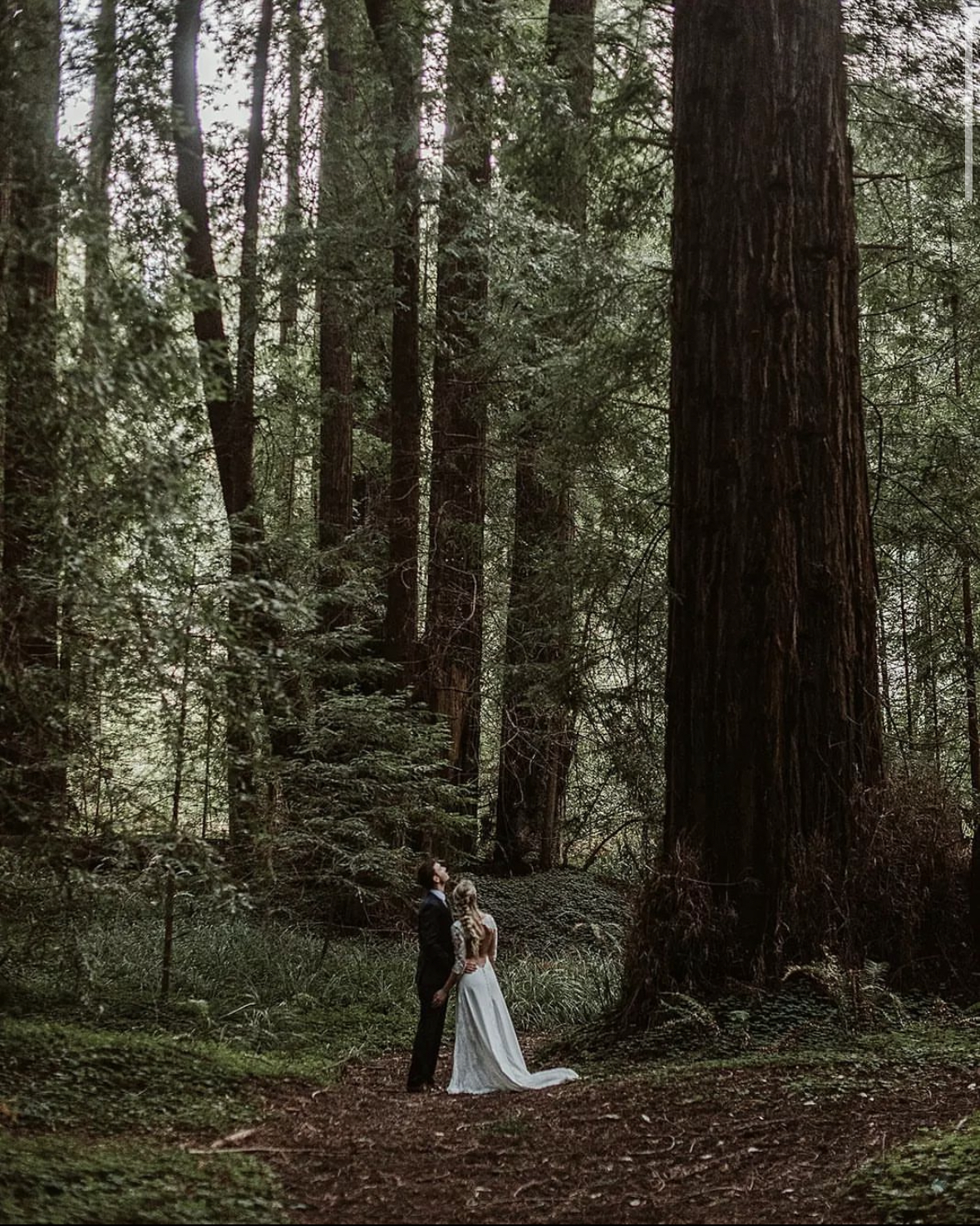 4 Magical Spots To Explore The Redwoods In Mendocino County - Visit ...